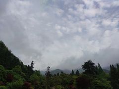 -大围山国家森林公园