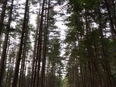 -洛阳白云山景区