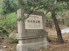 -白水寺森林公园