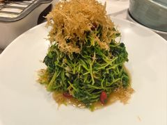 巧拌豆苗-馋嘴猫•北京食堂•宵夜(亚运村店)