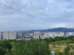 -青藏高原野生动物园