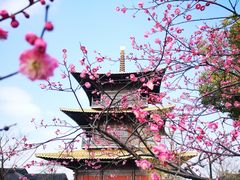 -广富林郊野公园