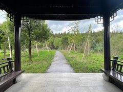 -南湖湿地公园