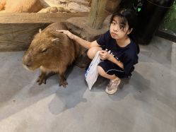 -Zoolung Zoolung动物主题公园(海信广场店)