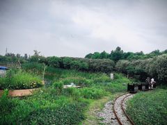 -上海都市菜园
