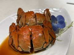 -新雅粤菜馆(南京东路店)