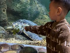 -华夏文旅海洋公园