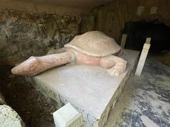 -上海佘山国家森林公园天马山园