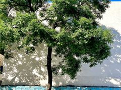 -京北渔家傲