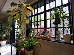 -一尺花园(安和花园店)