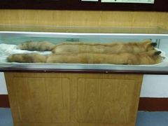 景点-李宗仁史料馆