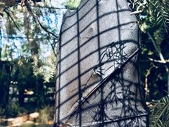 -费瑟代尔野生动物园