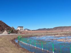 -纳帕海依拉草原