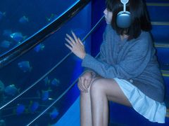 -厦门海底世界