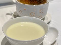 顺德小黄姜撞奶-陶陶居·雅园(凯华国际店)