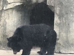 -南昌动物园