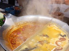 台式麻辣花胶鸡鸳鸯锅-湊湊火锅·茶憩(世博大道店)