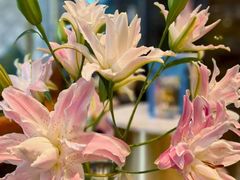 -德米火锅(深圳湾1号旗舰店)