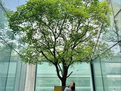 -WeWork中国(三里屯11号社区店)