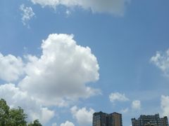 -莲·中餐厅(成都首座万豪酒店)