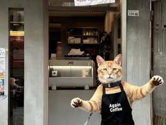 -Again Coffee Roaster(香蜜湖店)