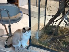 -银泰百货(厦门国贸中心店)