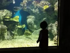 -福州罗源湾海洋世界旅游区