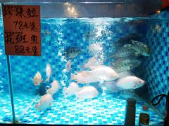-蚝得喜海鲜(东城店)
