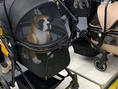 -宁波国际会展中心
