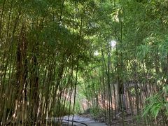 -外婆船宴餐厅·外婆喊你回家吃饭