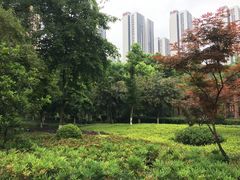-龙头寺公园