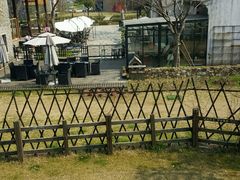 -田园东方蜜桃村的田野营地