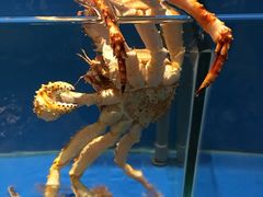 -綱元·海鲜豆捞(明州里店)