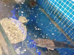 -前王院•巧克力海鲜市集餐厅(万平口店)