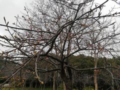 -自然谷恐龙园