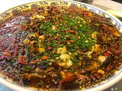 来凤鱼-新概念来凤鱼(璧山店)