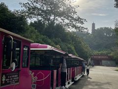 -南沙天后宫景区