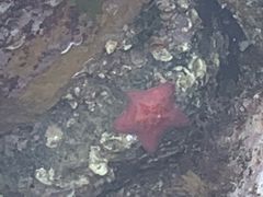 -青岛银沙滩