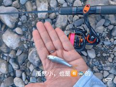 -绿堤公园