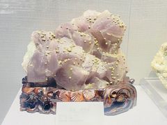 -湖南省地质博物馆