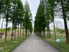 -歌斐颂巧克力小镇