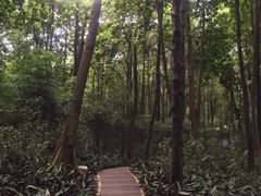 -云溪植物园