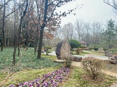 -洛阳市隋唐城遗址植物园
