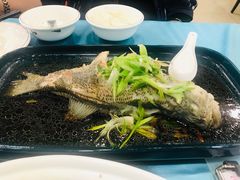 蒸鲈鱼-粤·向群饭店(泮塘路店)