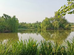 -白鹭湾湿地公园