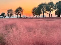 -汉长安城未央宫国家考古遗址公园