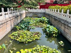 -北京市劳动人民文化宫(太庙)
