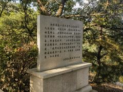 -石老人观光园