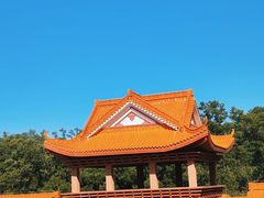 -深圳仙湖植物园