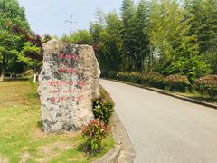 -金钉子远古世界景区